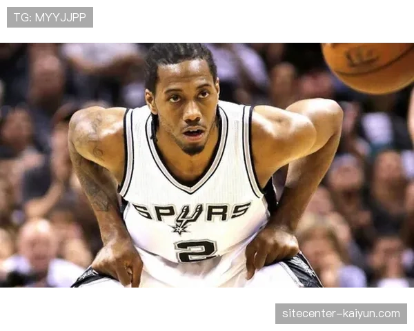 近十战净效率榜马刺居首 黄蜂热火分列二三位展现近期状态